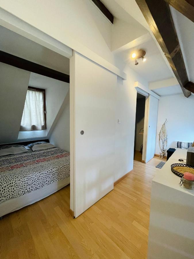 Duplex Du Pailhet, T3 Neuf, Vue Montagne, Parking, Navette Et 2 Velos A Disposition Gratuitement Bagnères-de-Luchon Kültér fotó